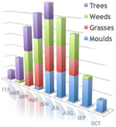 Hay Fever Allergy Testing London in France